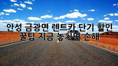 안성 금광면 렌트카 단기 할인 꿀팁🍯 지금 놓치면 손해!