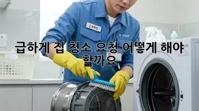 급하게 집 청소 요청, 어떻게 해야 할까요?
